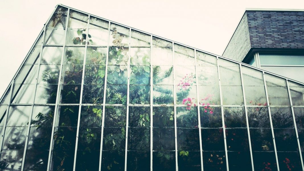 Vertical farming