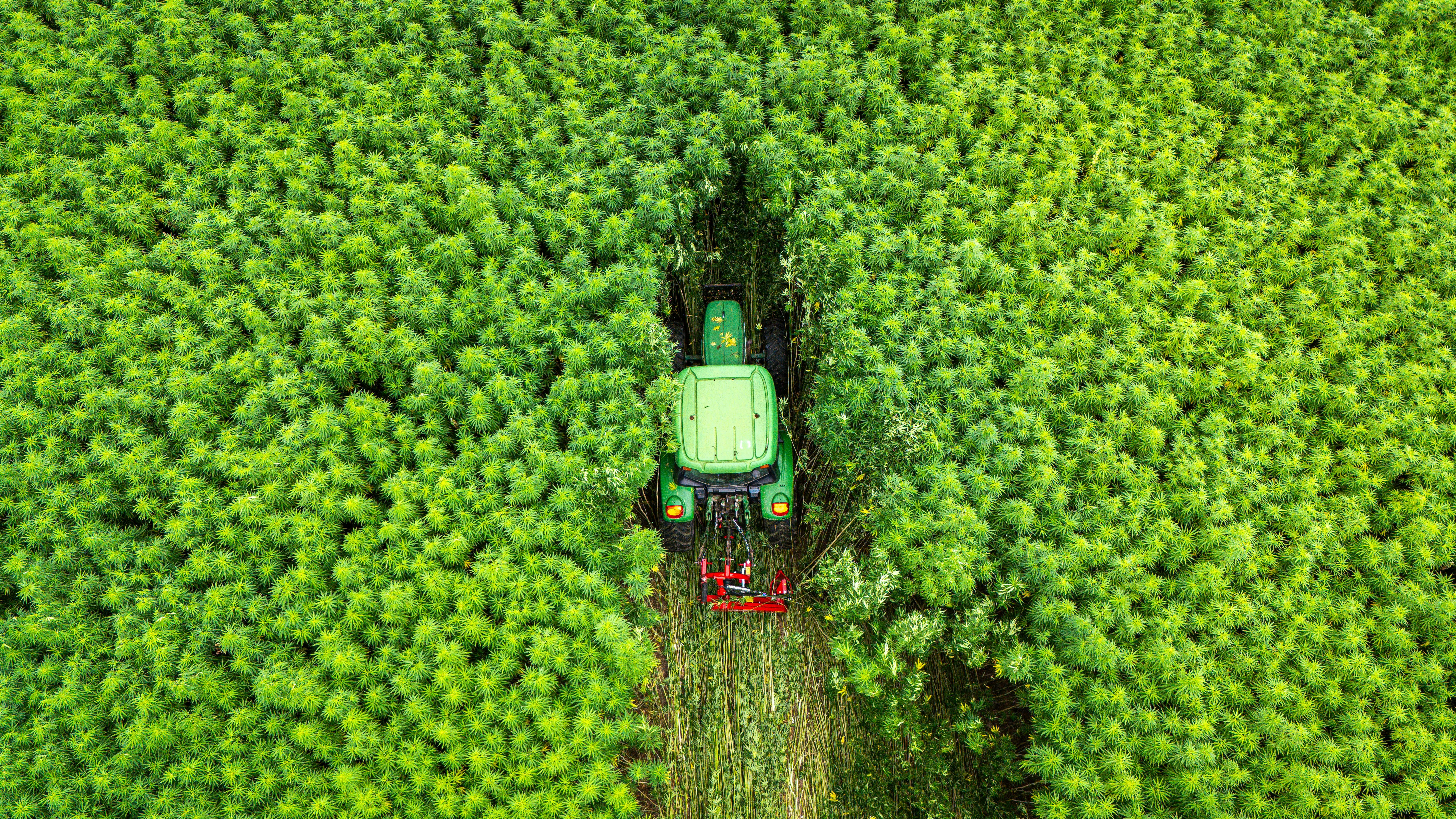Precision agriculture technology mapping a crop field